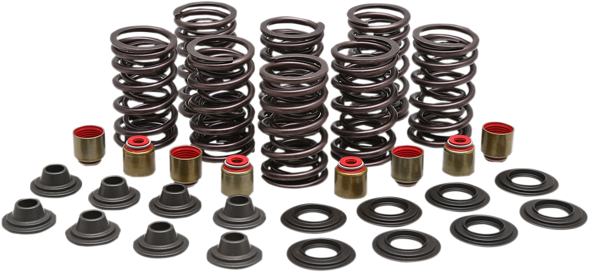 KIBBLEWHITE Valve Spring Kit