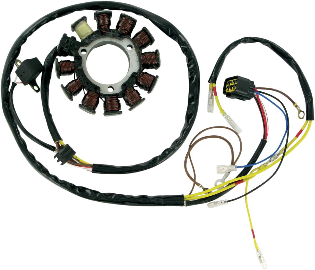 RICK’S MOTORSPORT ELECTRIC Stator for Polaris