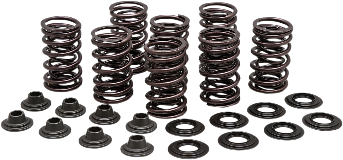 KIBBLEWHITE Valve Spring Kit