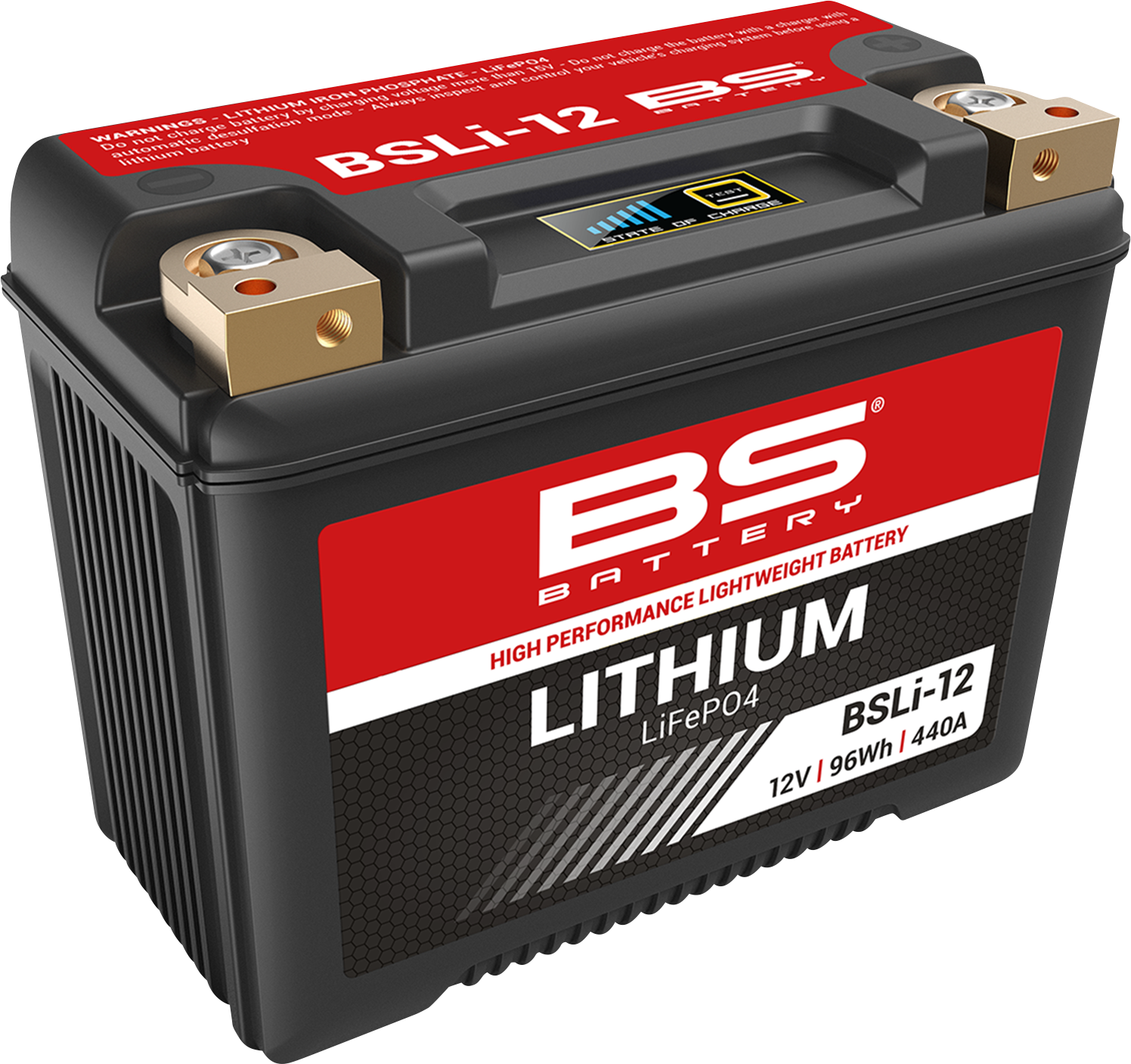 BS BATTERY Lithium LiFePO4 Battery